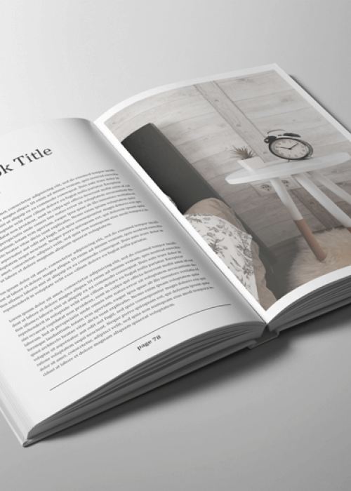 Dzīves Jēga / Pats galvenais dzīvē