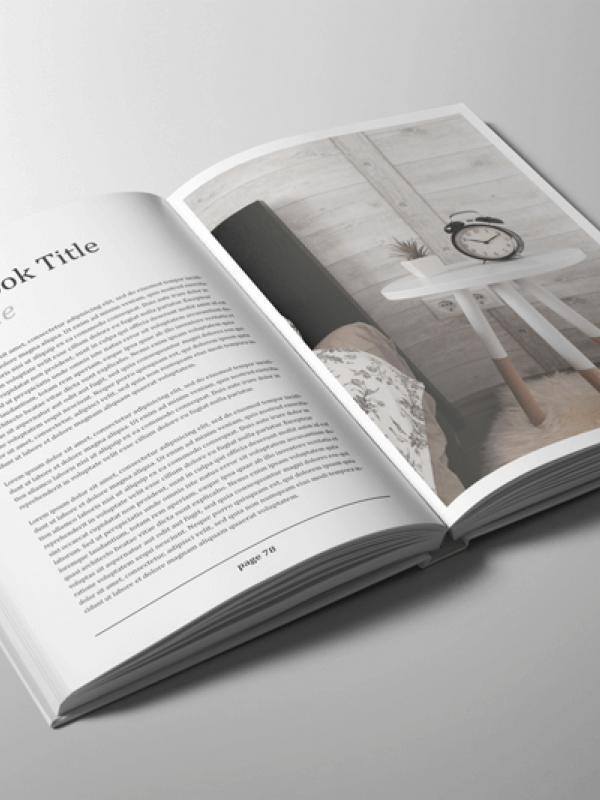 Dzīves Jēga / Pats galvenais dzīvē